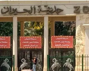 الحكومة تنفي تجريف الأشجار النادرة بحديقة الحيوان بالجيزة تزامنا مع تطويرها