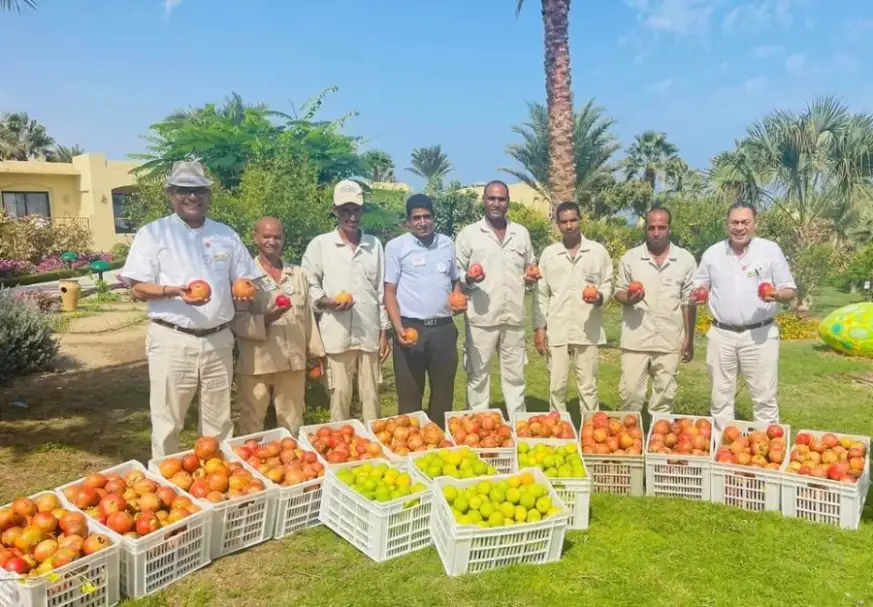 شجرة لكل سائح.. منتج بمرسى علم يحتفل بزراعة الشجرة رقم 2000 لسياح من مختلف الجنسيات