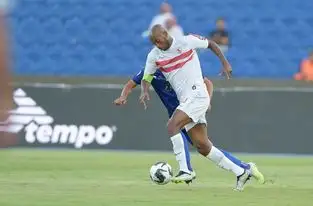 شيكابالا: سنكشف كل الأمور عقب البطولة العربية