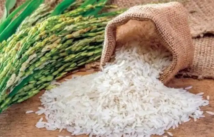 رئيس شعبة الأرز: السعر العادل للكيلو لا يتعدى 23 جنيها