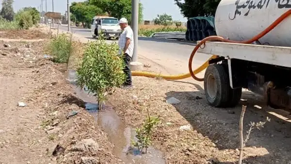 محافظ المنوفية يتابع جهود الوحدات المحلية فى تنفيذ مبادرة «100 مليون شجرة»
