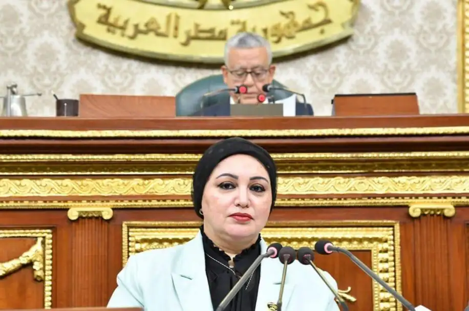 سولاف درويش: مصر والسعودية صمام الأمان لتحقيق الأمن القومى العربى والخليجي