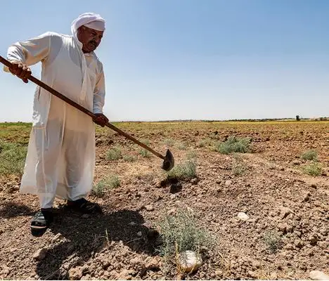 العراق.. تحرك حكومي لاعتماد أسلوب جديد في توفير المياه وزيادة الغلة الزراعية
