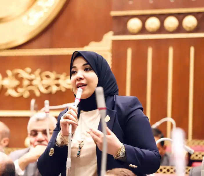 النائبة دينا هلالي: المبادرات المجتمعية ل"حياة كريمة" تضمن العيش الآمن للأسر الأولى بالرعاية.. وتؤكد أهمية تكثيف برامج دعم الفتاة الريفية