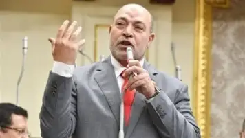 النائب حسن المير: المجتمع الدولي يشيد بالدور التاريخى لمصر لإنهاء الأزمة السودانية
