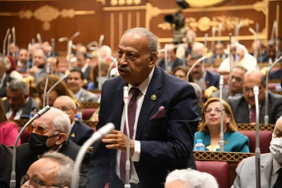 النائب هاني العسال: زيارة وفد الكونجرس الأمريكي عكست الدور الحيوي لمصر بالمنطقة كركيزة الأمن والاستقرار