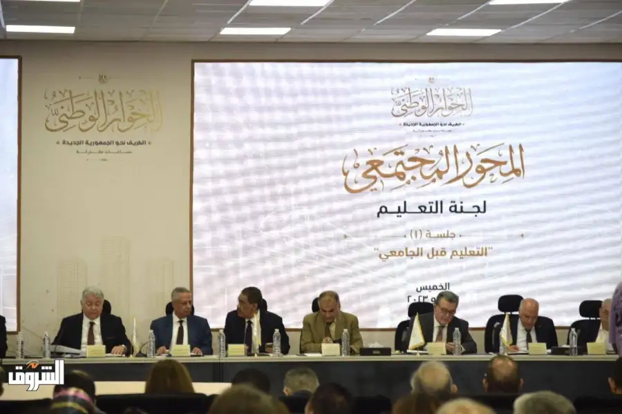 الحوار الوطني.. عضو التنسيقية تطالب بدمج الأحزاب السياسية لعشرة فقط