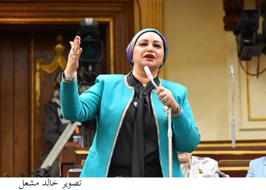"القوى العاملة بالنواب": رؤية الرئيس السيسى لتنظيم الهجرة الشرعية خارطة طريقة لمواجهة الأزمة السكانية