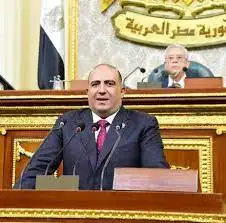 برلمانى: رؤية الرئيس السيسى لتخزين الحبوب يسهم في حل أزمة الغذاء العالمية