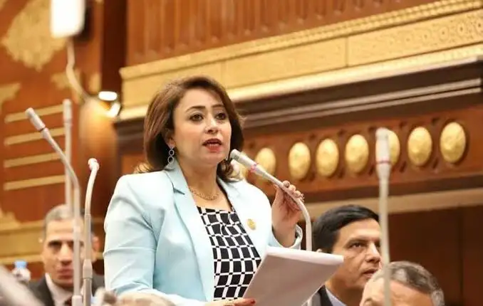 "حقوق إنسان الشيوخ" تشيد بتوجيه الرئيس بدعم الأشقاء:" مصر أم الدنيا"