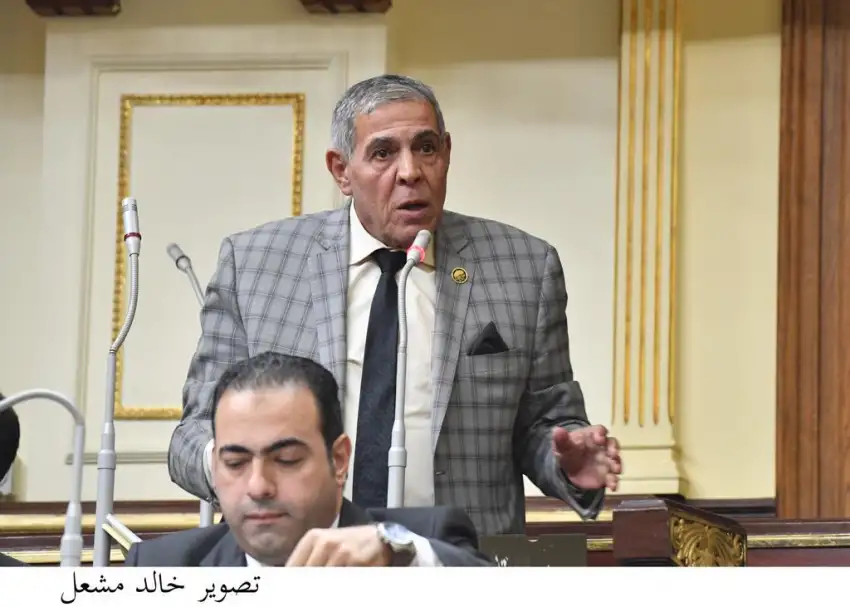 برلمانى: واشنطن تعترف بأهمية الدور المحورى لمصر تجاه القضايا العالمية