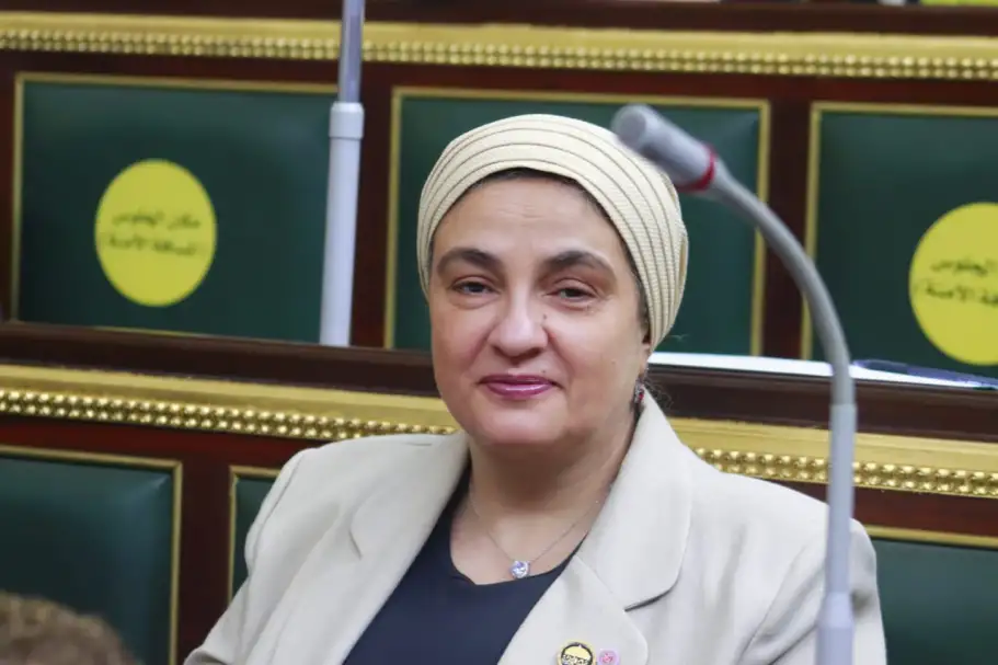 النائبة سميرة الجزار: تنظيم مهرجان للسجائر الإلكترونية أمر غير قانوني