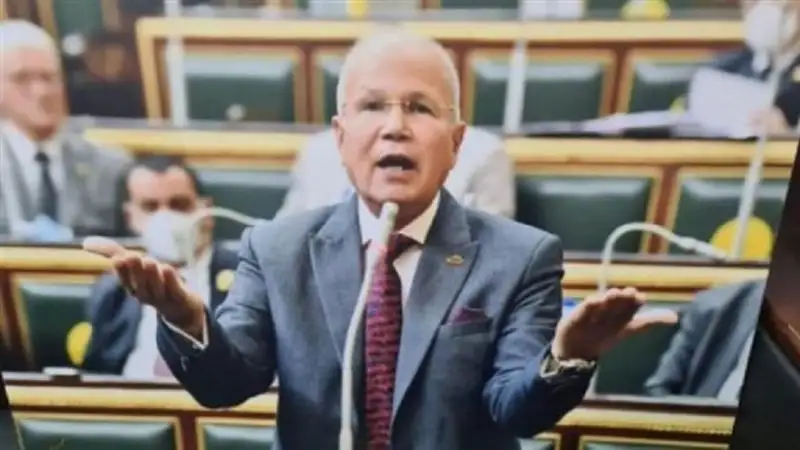 النائب السيد شمس الدين: الإشراف القضائي الكامل على انتخابات الرئاسة أكبر ضمانة لنزاهتها