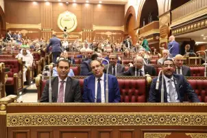 التشكيل الكامل لهيئات مكاتب اللجان النوعية بمجلس الشيوخ بعد إجراء انتخاباتها