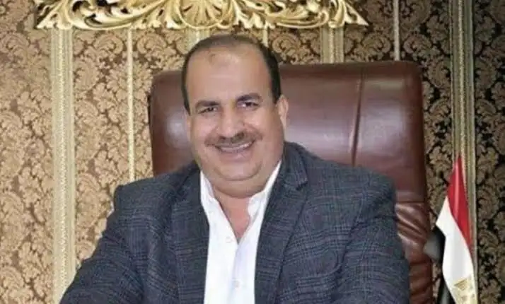 اقتصادية النواب: إشادة البرلمان الألمانى بمناخ الاستثمار بمصر ترويج كبير لجذب الاستثمارات