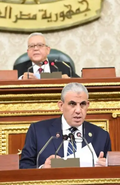رئيس "قوى البرلمان": رد مجلس النواب على ادعاءات البرلمان الأوروبى رسالة واضحة للعالم
