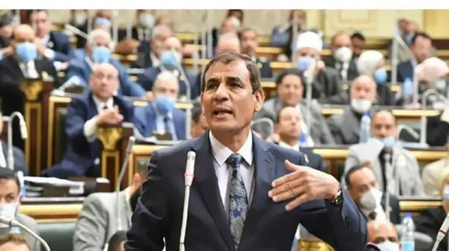 نائب: "بنات مصر اتضربوا بالشلاليت عند وزارة التربية والتعليم".. والمجلس يحذفها من المضبطة
