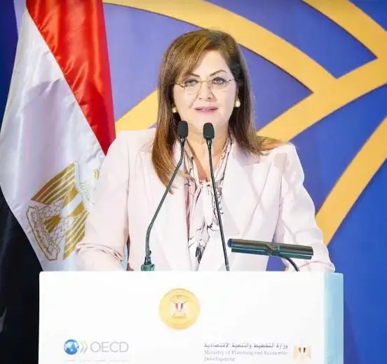 التخطيط: 100% من تجارة الحاويات المنقولة بحرا من بين آسيا وأوروبا يتم من خلال قناة السويس