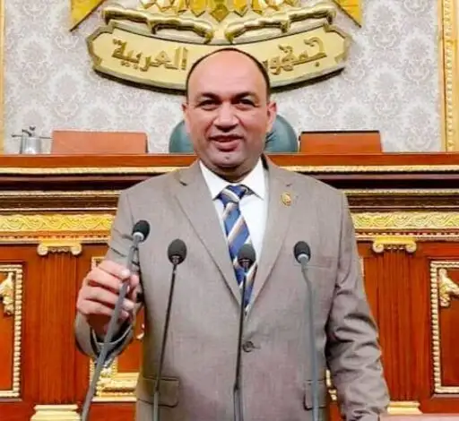 النائب أحمد أبو زيد: موافقة مجلس النواب على قانون التيسيرات للمصريين بالخارج يؤكد حرص الدولة على تلبية مطالب أبنائها بالخارج