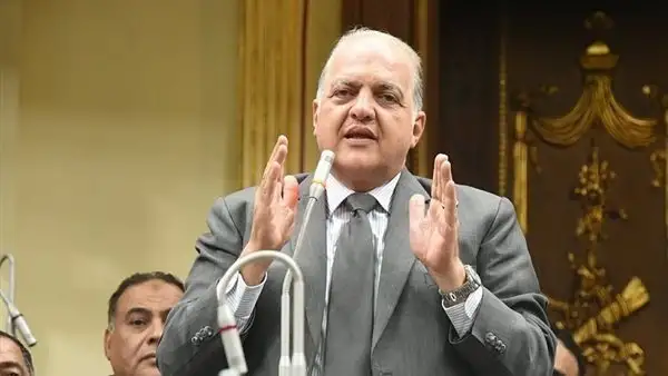 طاقة النواب: موقف الرئيس السيسى عن تهجير الفلسطينيين تاريخى ومعبر عن كل المصريين