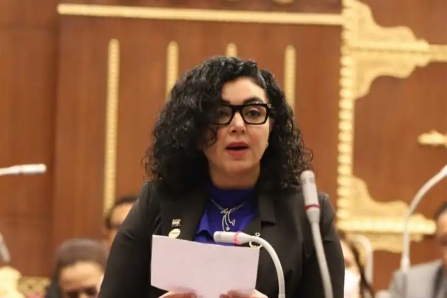 عضو بالشيوخ :مصر حريصة على دعم القضية الفلسطينية مع الحفاظ على أمن البلاد