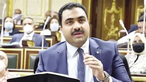 النائب محمود قاسم : القمة المصرية الفرنسية رسالة لشرفاء العالم لوقف جرائم الحرب الاسرائيلية فى غزة