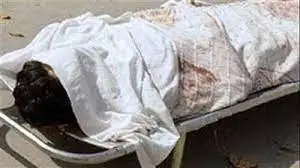 مصرع شاب صدمه قطار أثناء عبوره المزلقان بأبو قرقاص في المنيا