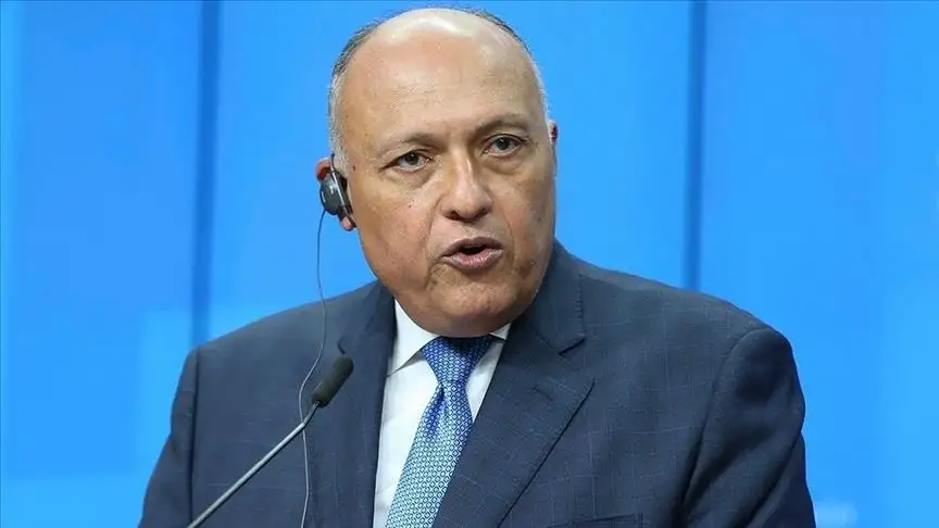 شكري: يجب إعادة إحياء عملية السلام بين الإسرائيليين والفلسطينيين في أسرع وقت ممكن