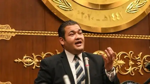 محمد عمارة "نائب التنسيقيه": يطالب الحكومة بزيادة الوعى البيئى للأجيال الجديده لمواجهة التغير المناخى