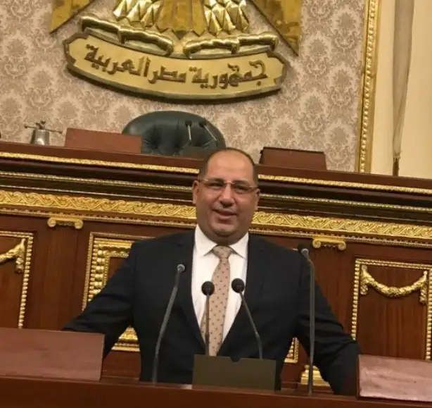 النائب أحمد نويصر: توجيهات الرئيس السيسي بنقل الأطفال حديثي الولادة من غزة للمستشفيات المصرية هدفها الحفاظ على أرواحهم