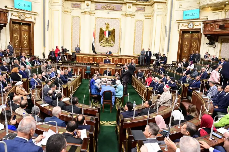 رئيس مجلس النواب: الكل على قلب رجل واحد فى دعم القضية
