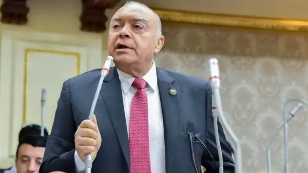 النائبة رغدة نجاتي: جهود مصر نجحت في الوصول لاتفاق وقف إطلاق النار