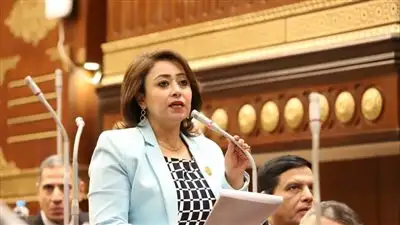 رشا إسحق تشيد بحديث السيسي بمؤتمر «تحيا مصر .استجابة شعب..تضامنا مع فلسطين »: عبرت عن المصريين