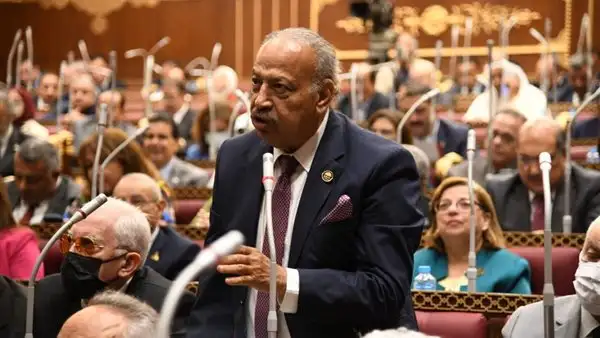 النائب هاني العسال: مبادرة منتدى شباب العالم تتكامل مع جهود مصر الرامية لإحياء مسار السلام
