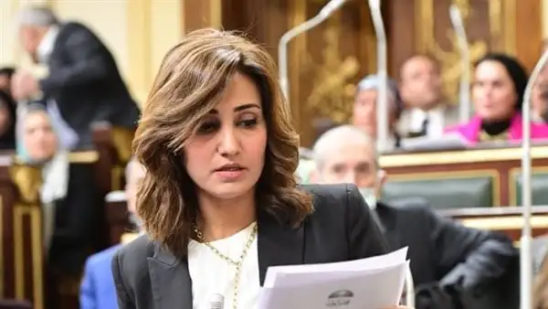 رغدة نجاتي تطالب بترجمة تسهيلات قانون التصالح في مخالفات البناء باللائحة التنفيذية
