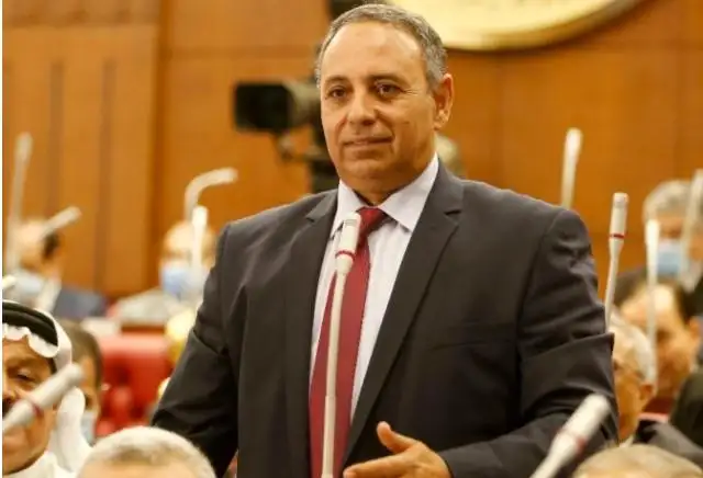 أمين عام تحالف الأحزاب المصرية: نعيش في عرس ديمقراطي منذ 2014