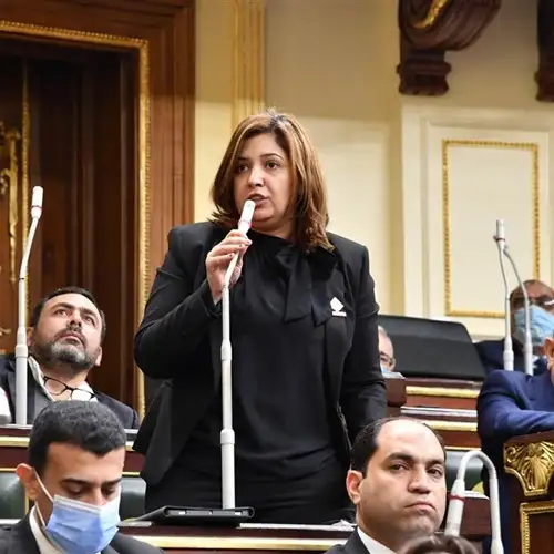 النائبة أميرة العادلي: قانون نقابة التكنولوجيين مرفوض.. وأطالب بإعادة النظر في بنوده