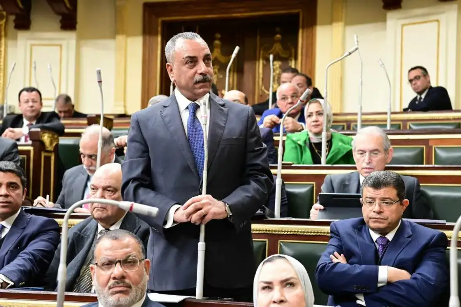 الطماوي: أنجزنا 90% من مواد «الإجراءات الجنائية» بينها التعويض عن الحبس الاحتياطي