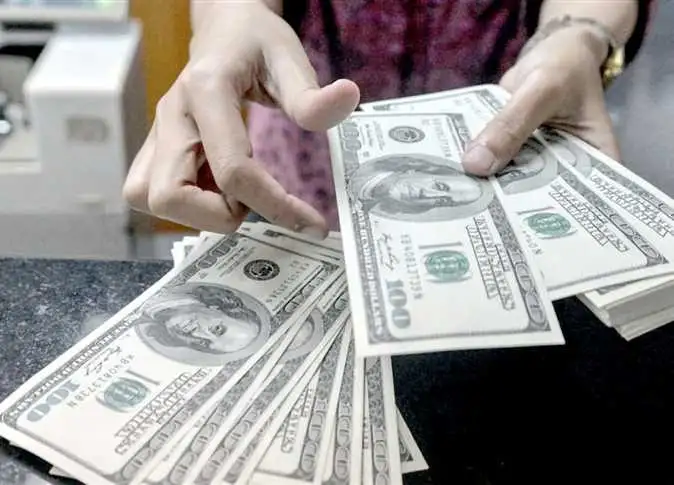الدكتور سمير صبري: تحرير سعر الصرف دون توفير حصيلة دولارية قرار مرفوض