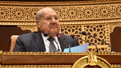مجلس الشيوخ يناقش سياسة الحكومة لتعزيز كفاءة صناعة البرمجيات