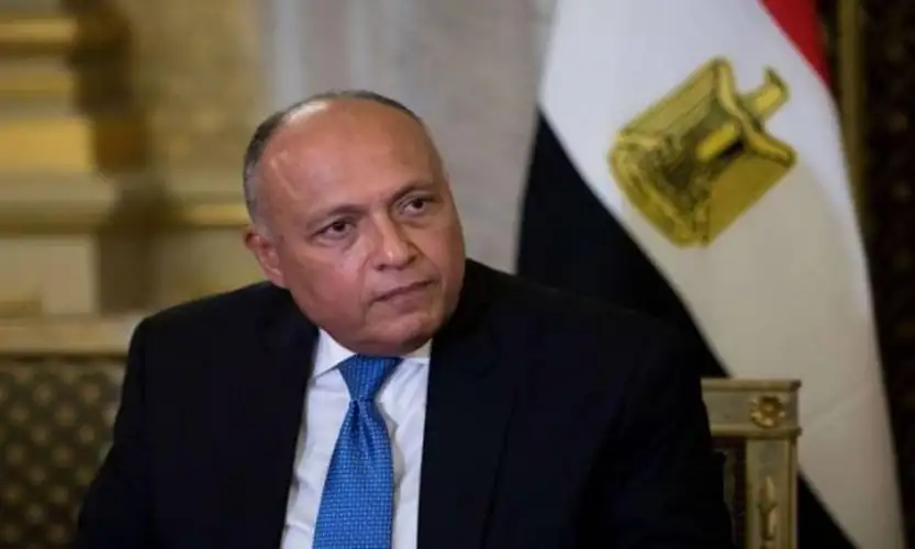 سامح شكري يطالب الاتحاد الأوروبي باتخاذ إجراءات فعلية لمنع التهجير