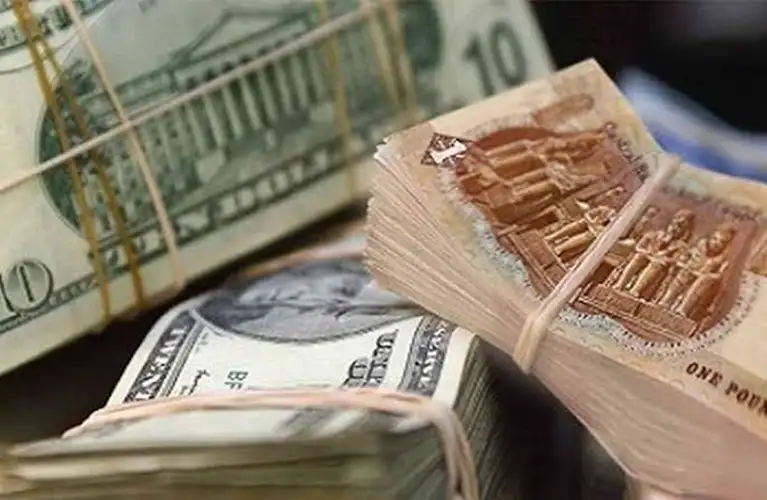 عضو خطة النواب: سنترك سعر الصرف لِمرونة العرض والطلب الأشهر الـ3 المقبلة