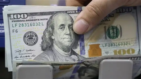 دولارات مزيفة.. حبس صاحب شركة ومقاول بتهمة النصب على المواطنين في الطالبية