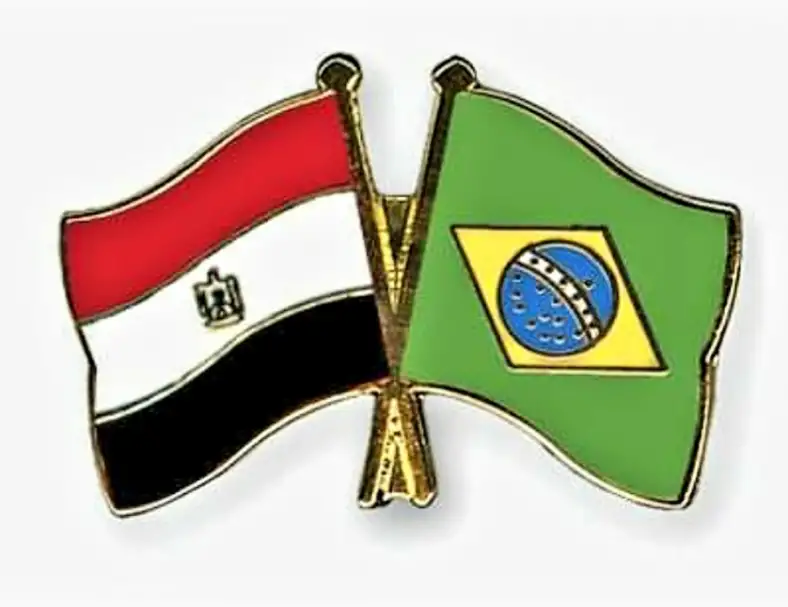 مصر والبرازيل يؤكدان ضرورة بناء نظام دولي أكثر ازدهارا وديمقراطية بمناسبة مرور 100 عام على تأسيس علاقاتهما
