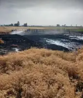 السيطرة على حريق ألتهم مساحة فدان منزرعة بمحصول القمح في أسيوط