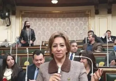 النائبة مها عبد الناصر: الانتقادات الموجهة لشركات النقل الذكي تتعلق بحياة المواطنين وليس استثماراتها