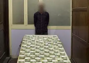 ضبط 5 عناصر إجرامية بحوزتهم مخدرات بقيمة 2 مليون جنيه في الإسكندرية وكفر الشيخ