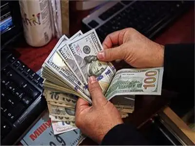 ضبط قضايا اتجار في العملات الأجنبية بـ14 مليون جنيه خلال 24 ساعة