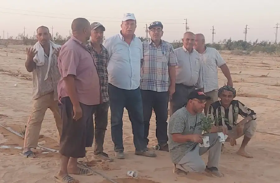 وزير الزراعة يتابع تجربة زراعة الجوجوبا في غرب المنيا