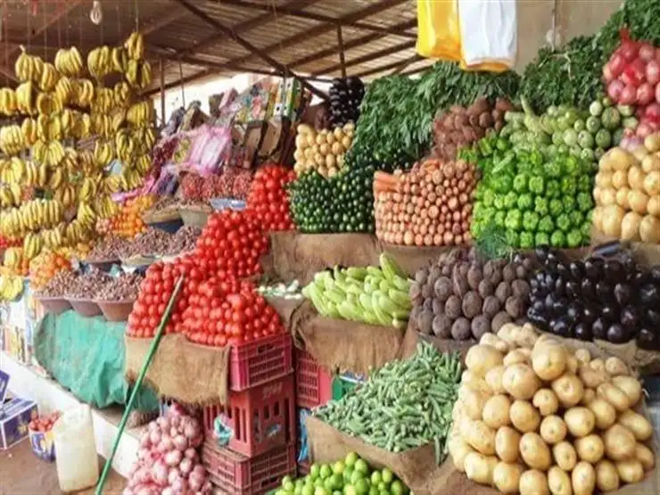 البطاطس بـ20 جنيها.. ارتفاع أسعار الخضراوات والفاكهة بأسواق كفر الشيخ